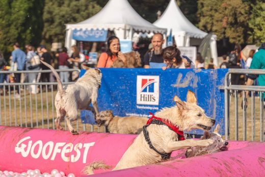 Woofest – Nice : montage des chapiteaux, tentes, barnums, pagodes, plancher et barrières