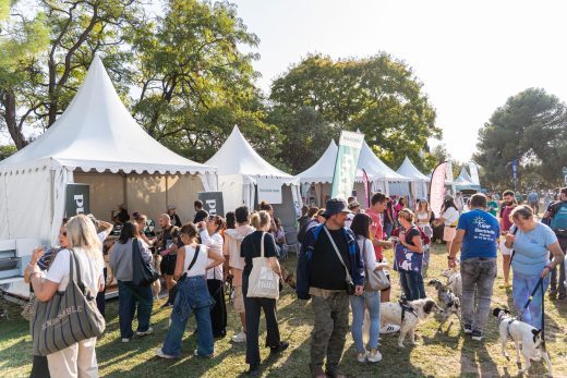 Woofest &#8211; Nice : montage des chapiteaux, tentes, barnums, pagodes, plancher et barrières