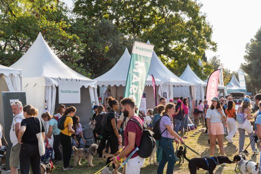 Woofest – Nice : montage des chapiteaux, tentes, barnums, pagodes, plancher et barrières