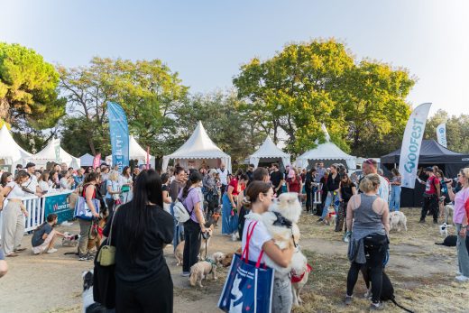 Woofest – Nice : montage des chapiteaux, tentes, barnums, pagodes, plancher et barrières