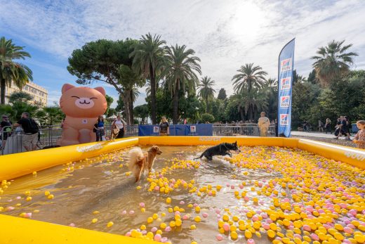 Le village du Woofest 2026 sur l&#8217;espace Albert 1er à Nice